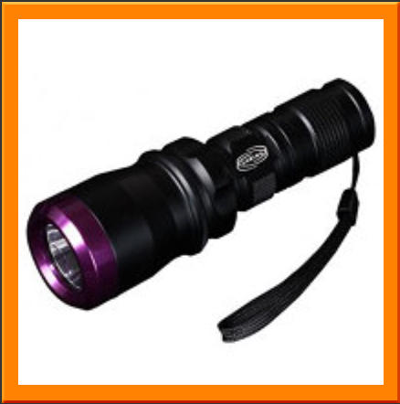 ultra violet torch argos