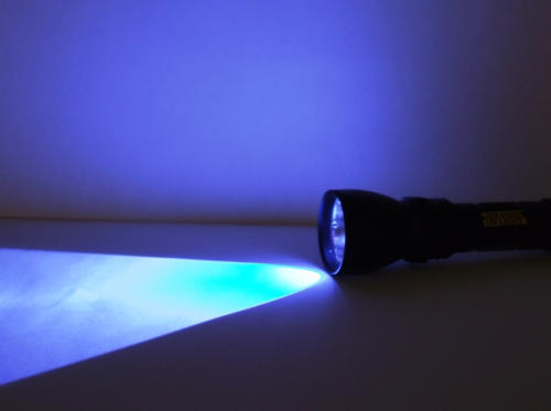 VISION 365 (UV 365) UV LED Torch in action