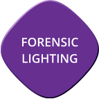 Forensic Lighting Page Button