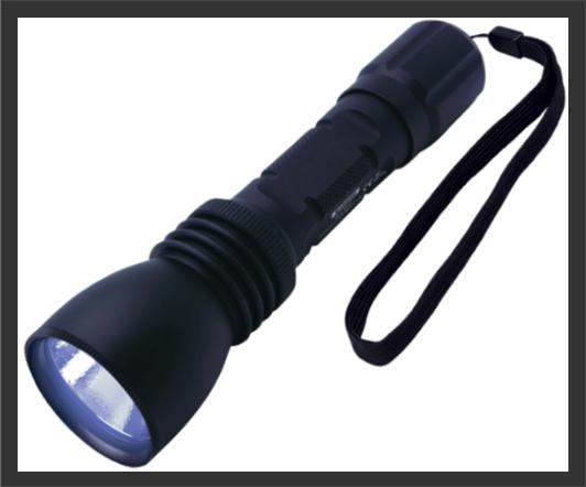 VISION 365 (UV 365) UV LED Torch with Wrist Strap